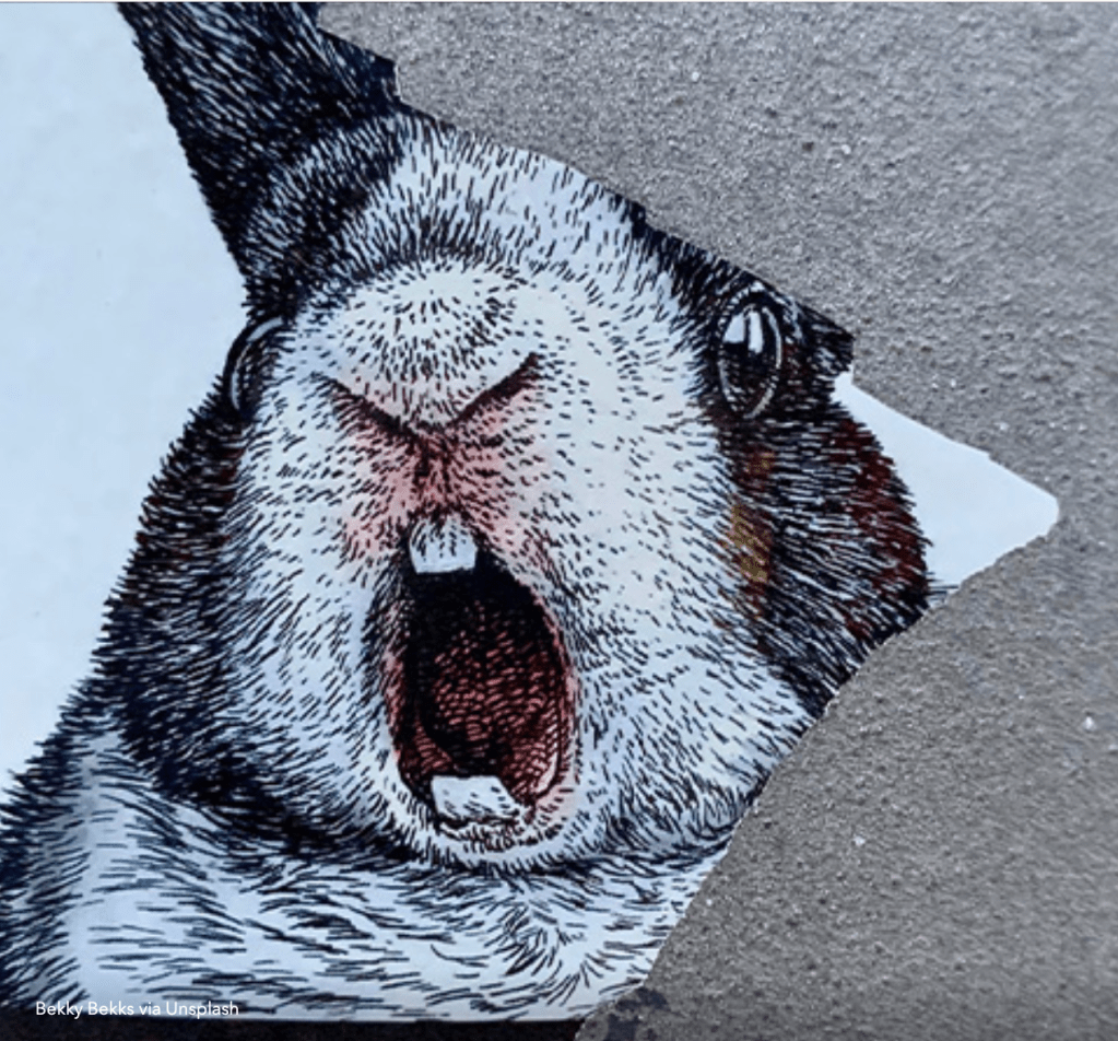 China’s Animal Testing Regulations: Ethical Legislations or Commercial&nbsp;Strategy?